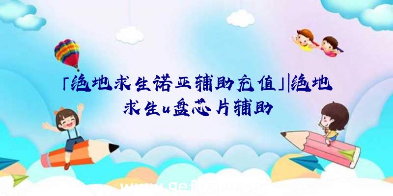 「绝地求生诺亚辅助充值」|绝地求生u盘芯片辅助